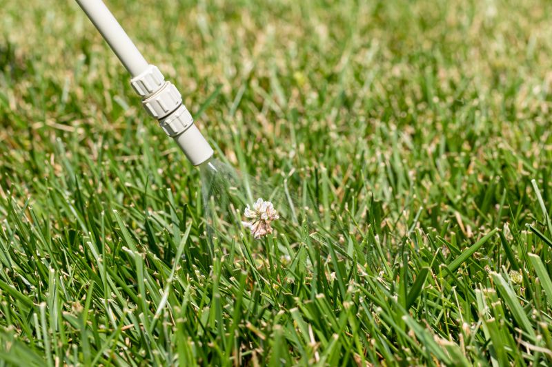 Crabgrass Removal in Ventura County, CA