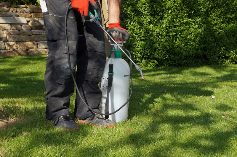 Weed Prevention Service in Aiken, SC