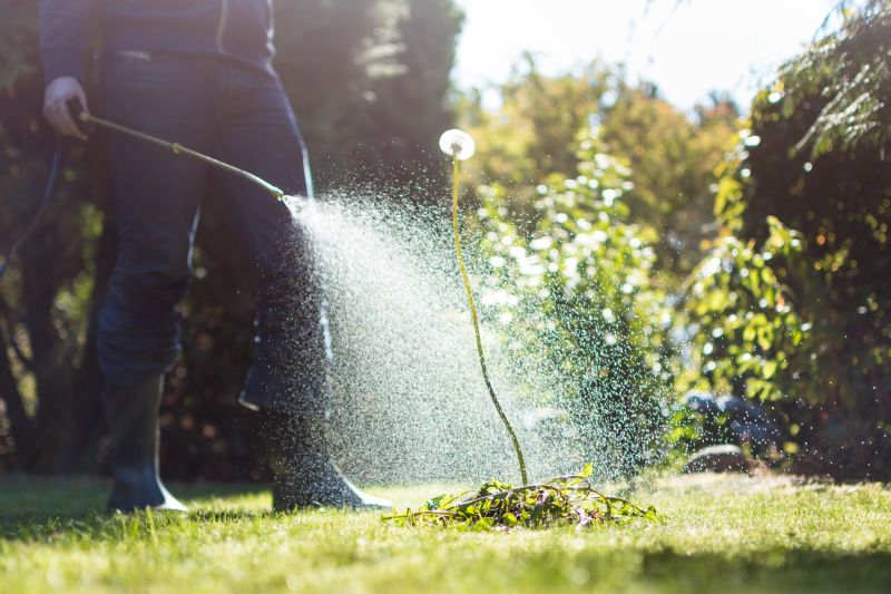 Commercial Weed Control Services