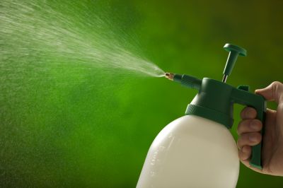 Ensure Effective an Efficient Application